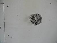 ecovata_170_20120313_1845201361.jpg