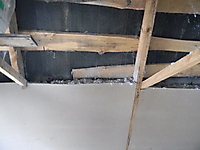 ecovata_270_20120321_1900925042.jpg