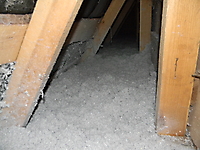 ecovata_299_20120420_1365506599.jpg