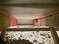ecovata_318_20120517_2075983630.jpg