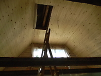 ecovata_350_20120602_1291018926.jpg