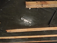 ecovata_442_20121014_1133494302.jpg