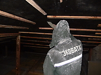 ecovata_444_20121014_1767606826.jpg