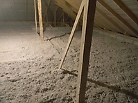 ecovata_458_20121014_1142101111.jpg